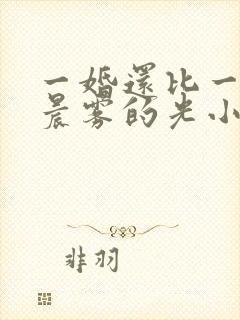 一婚还比一婚高晨雾的光小说