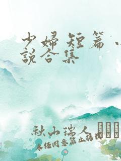 少妇 短篇 小说合集