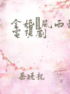 金婚·风雨情 电视剧