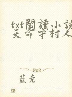 txt阅读小说天命守村人