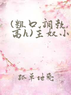(粗口,调教,高h)主奴小说
