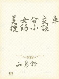 美女公交车上被摸的小说