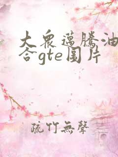 大众迈腾油电混合gte图片
