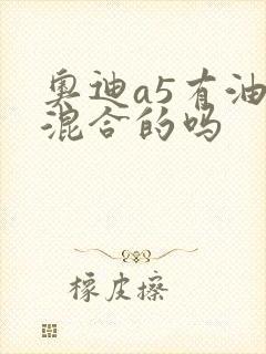 奥迪a5有油电混合的吗
