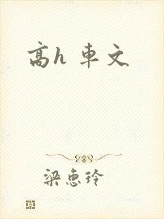 高h 车文