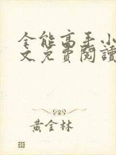 全能高手小说全文免费阅读