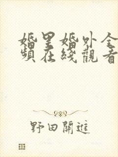 婚里婚外全集视频在线观看