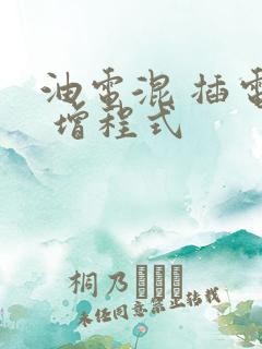 油电混 插电混 增程式