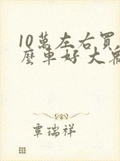 10万左右买什么车好 大众 年轻人