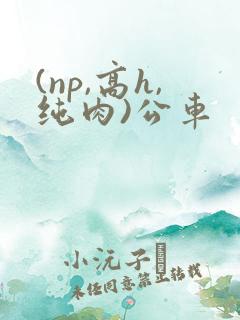 (np,高h,纯肉)公车