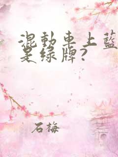 混动车上蓝牌还是绿牌?