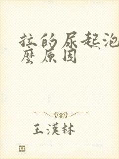 拉的尿起泡是什么原因