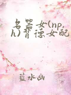 名器女(np,h)背德女配h