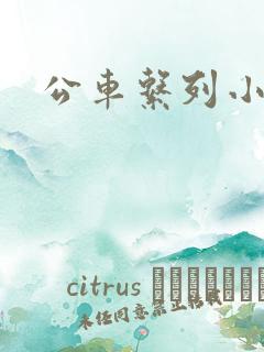 公车系列小说h