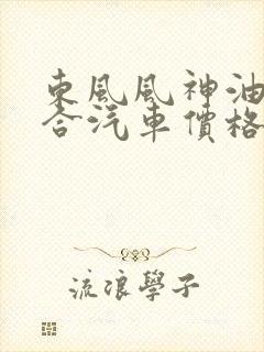 东风风神油电混合汽车价格表