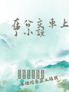 在公交车上被顶了小说