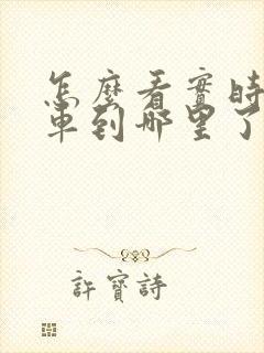 怎么看实时公交车到哪里了