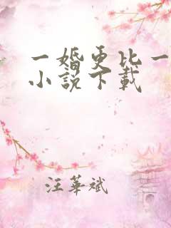 一婚更比一婚高小说下载