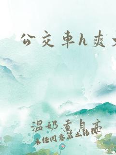 公交车h爽文