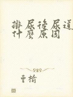排尿后尿道刺痛什么原因