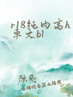 r18纯肉高h车文bl