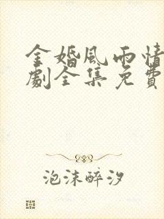 金婚风雨情电视剧全集免费观看