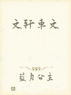 文轩车文