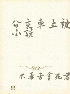 公交车上被轮的小说
