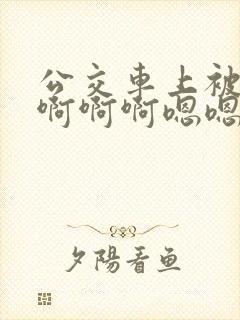 公交车上被嗯嗯啊啊啊嗯嗯小说