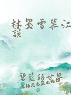 林墨雪慕江行小说