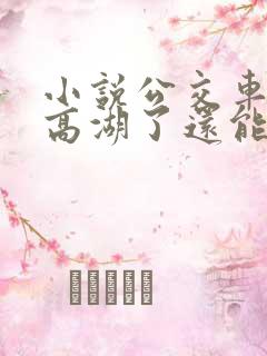 小说公交车被上高湖了还能坐吗