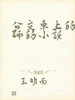 公交车上的女教师的小说