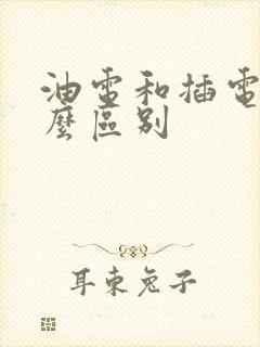 油电和插电有什么区别