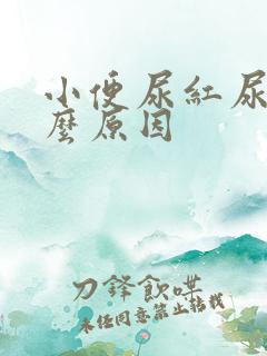 小便尿红尿是什么原因