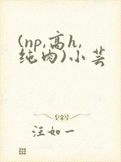 (np,高h,纯肉)小芸
