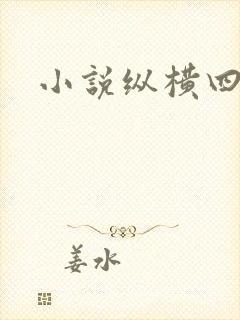 小说纵横四海