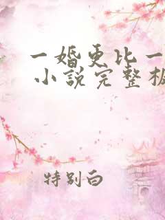 一婚更比一婚高 小说完整板