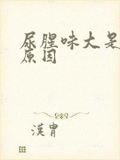 尿腥味大是什么原因