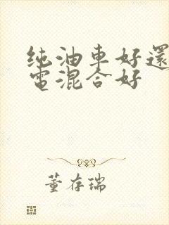 纯油车好还是油电混合好