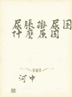 尿胀排尿困难是什么原因
