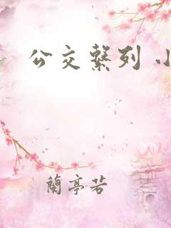 公交系列 小说