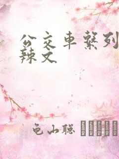 公交车系列高h辣文