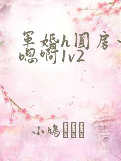 军婚h圆房～h嗯啊1v2