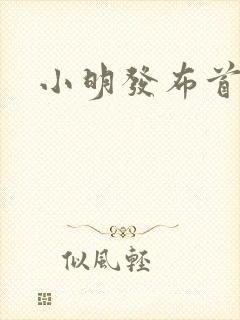 小明发布首页