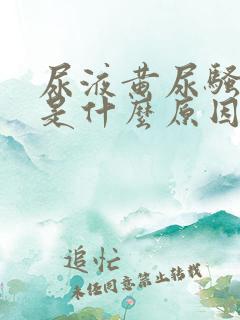 尿液黄尿骚味大是什么原因