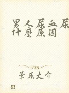 男人尿血尿疼是什么原因