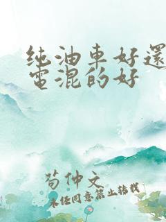 纯油车好还是油电混的好
