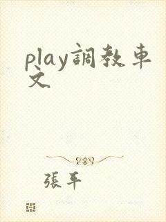 play调教车文