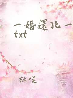 一婚还比一婚高 txt