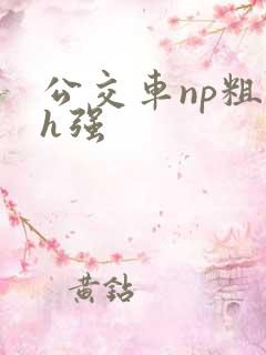 公交车np粗暴h强